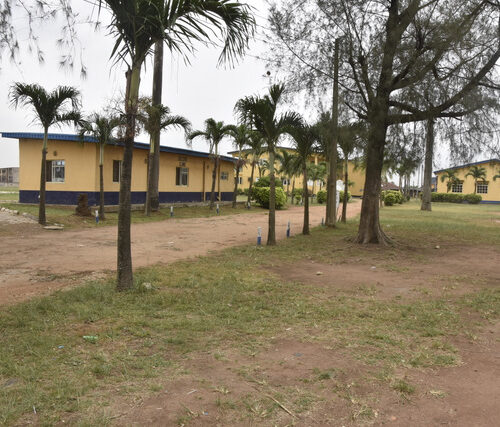 School Compound with trees